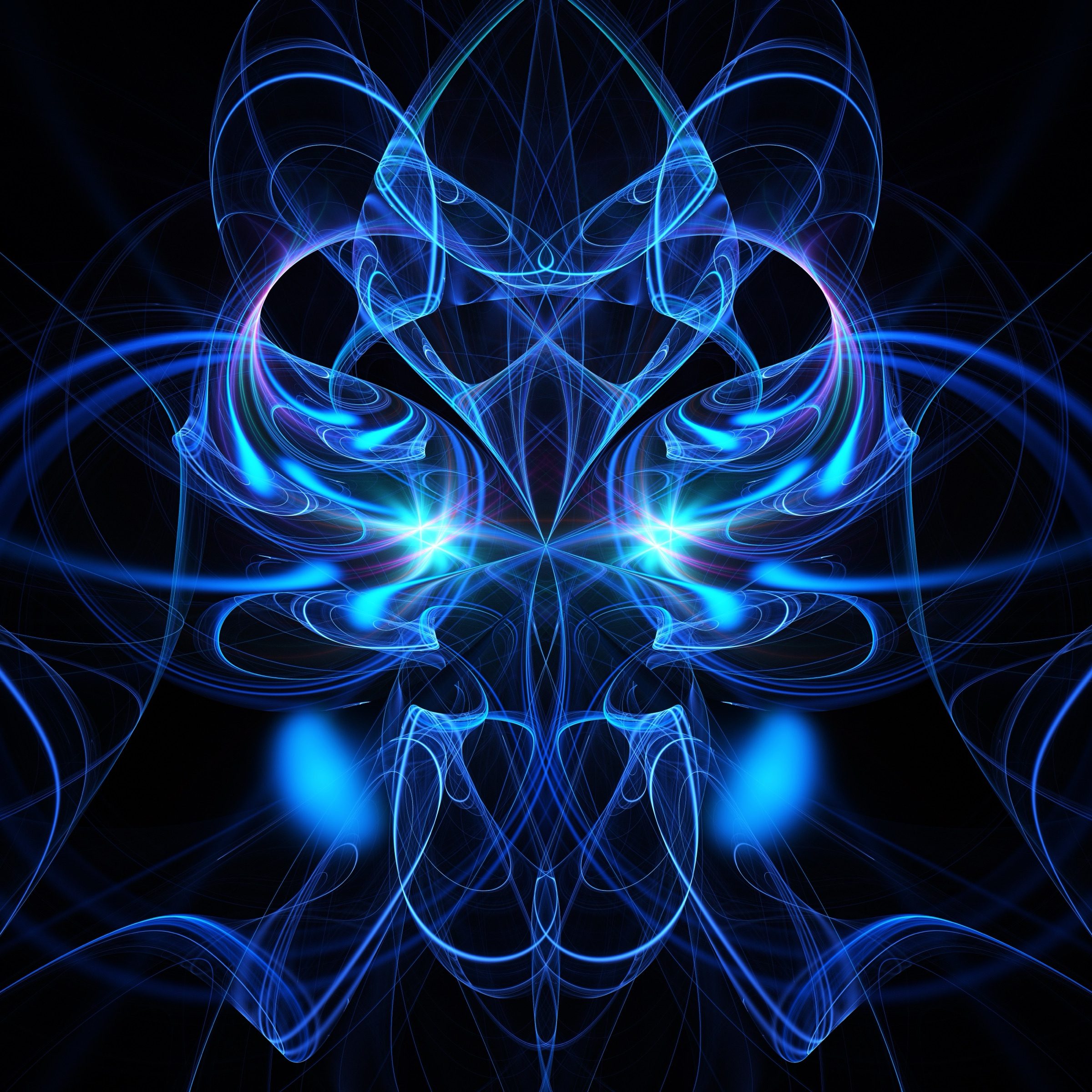 Gynandromorph